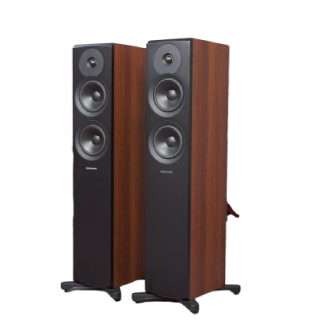 Dynaudio Loudspeaker
